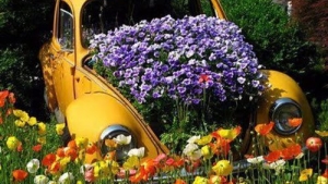 Image illustrant l'article 11 nouvelles idées pour les amoureux du jardinage