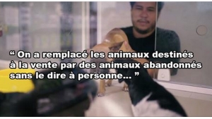 Illustration : "Cette animalerie a remplacé tous ses animaux par des bêtes abandonnées... Le résultat est magnifique !"