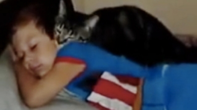 Illustration : "Après plusieurs jours d'absence, l'enfant a énormément manqué à son chat, qui ne manque pas de le manifester tendrement"