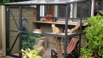 Illustration : "Vous aimez les Patio et vous avez un chat ? Vous allez adorer le Catio..."