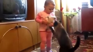 Illustration : "Cette chatte en a assez de voir que le bébé prend son chaton pour un jouet"
