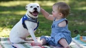 Illustration : "Une amitié touchante entre une petite fille et un chien qui sont tous les deux nés avec un membre en moins..."