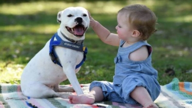 Illustration : "Une amitié touchante entre une petite fille et un chien qui sont tous les deux nés avec un membre en moins..."