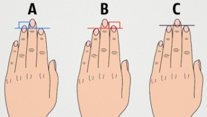 Illustration : "A, B ou C, regardez ce que dit la longueur de vos doigts à votre sujet et dites nous si c'est vrai ! "
