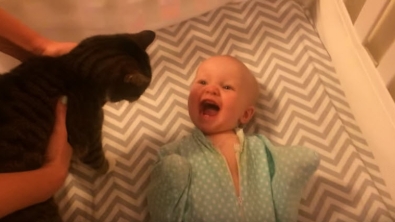 Illustration : "Ce bébé est plus que ravi de revoir le chat de la famille"