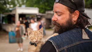 Illustration : "Sauvé et soigné par un biker, ce chaton se met lui aussi à sillonner les routes à moto"