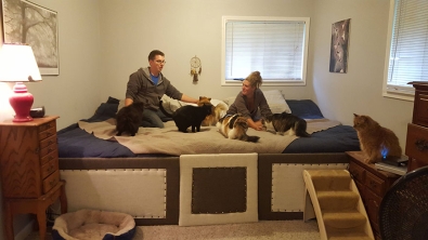 Illustration : "Ce couple a 5 chats et 2 chiens et tout le monde veut dormir dans le même lit. La solution est toute trouvée"