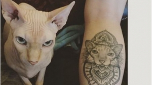 Illustration : "Ces personnes qui ont choisi de se faire tatouer les portraits de leurs chats adorés"