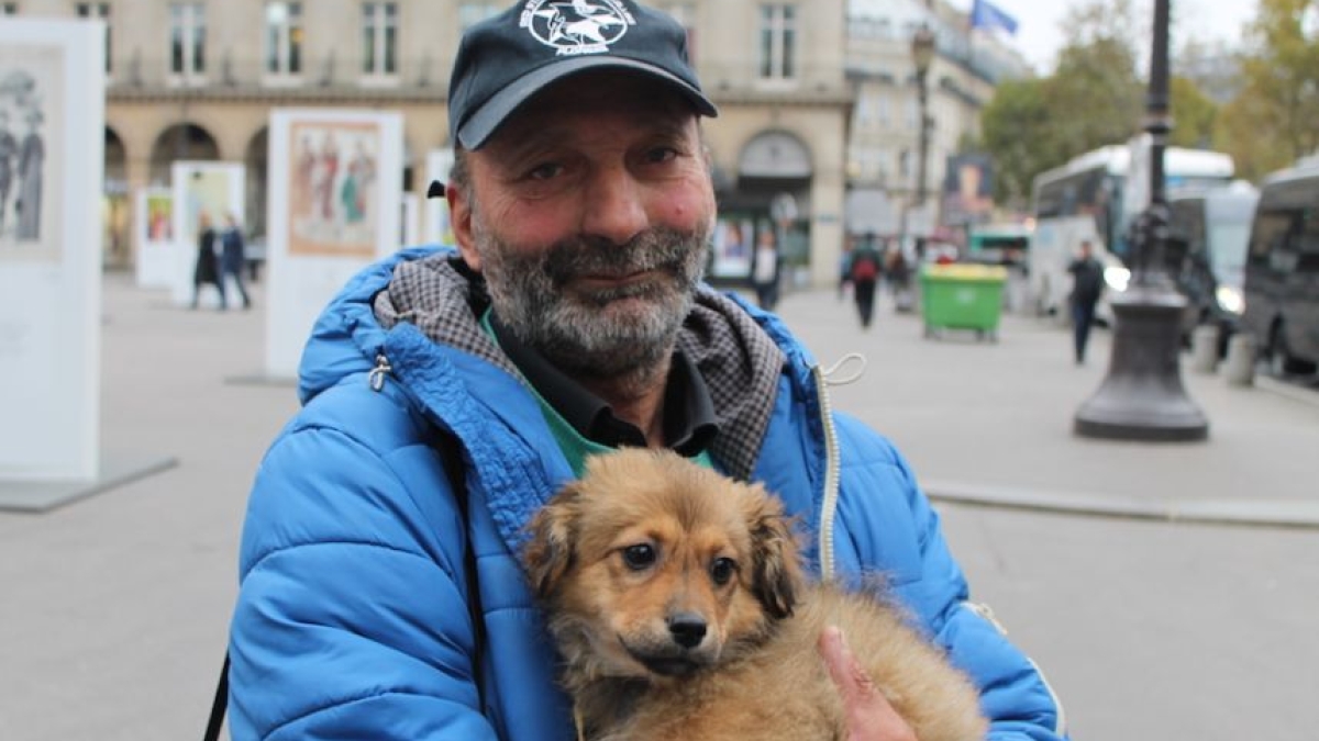 Le chien volé au SDF a enfin retrouvé son maître