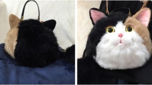 Illustration : "Des sacs à main en forme de chats ultra-réalistes : découvrez la dernière tendance délirante au Japon"
