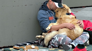Illustration : "9 photos émouvantes de chiens et de SDF qui prouvent que l'amour des animaux est inconditionnel"