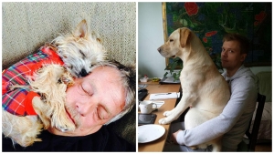 Illustration : "28 photos hilarantes de chiens qui envahissent leurs maîtres… Vous allez bien rigoler !"