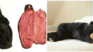 Illustration : "Découvrez ce sac de couchage en forme d’ours… Vous n'aurez plus jamais froid !"