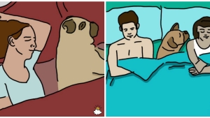 Illustration : "La position dans laquelle vous dormez avec votre animal révélerait tout sur votre relation…Voici 9 positions et leurs significations !"