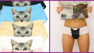 Illustration : "La culotte avec un chat imprimé dessus: La tendance qui fait fureur pour le moment ! Pensez-y pour les fêtes…"