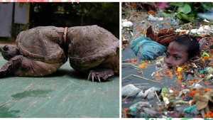 Illustration : "Ces 22 photos devraient sensibiliser tout le monde sur l’environnement… Les choses doivent changer !"