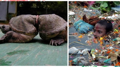 Illustration : "Ces 22 photos devraient sensibiliser tout le monde sur l’environnement… Les choses doivent changer !"