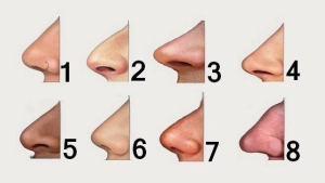 Illustration : "La forme de votre nez en dit beaucoup sur votre personnalité… Voici ce qu’il faut savoir !"
