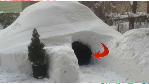 Illustration : "Il construit un igloo et le met à louer sur Airbnb… Ces derniers suppriment l’annonce et lui envoient un msg teinté d’humour !"