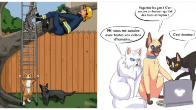 Illustration : "Ces 20 dessins très drôles nous rappellent qu’on vit dans un monde qui tourne à l’envers… La 5 est top !"