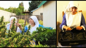 Illustration : "Ces bonnes soeurs cultivent du cannabis pour une très belle cause ! "