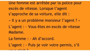 Illustration : "Arrêtée pour excès de vitesse, cette femme n’a visiblement pas froid aux yeux !"