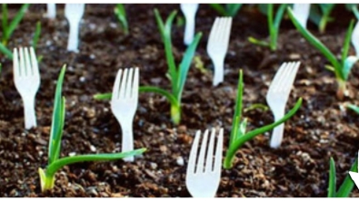 Illustration : "Elle utilise des fourchettes en plastique qu'elle plante dans son jardin ! Une idée de génie..."