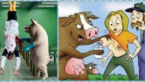 Illustration : "La maltraitance envers les animaux, dénoncée à travers 19 photos assez choquantes !"