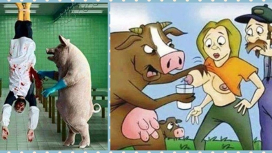 Illustration : "La maltraitance envers les animaux, dénoncée à travers 19 photos assez choquantes !"