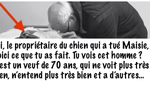 Illustration : "“Au propriétaire du chien qui a tué Maisie”, la lettre de cette femme m'a brisé le coeur..."