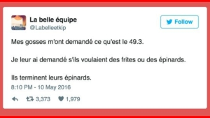 Illustration : "Le 49.3 fait réagir les internautes ! Voici les 19 meilleurs tweets concernant l'article !"