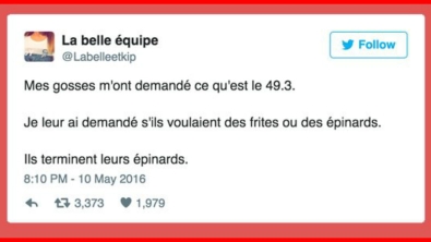 Illustration : "Le 49.3 fait réagir les internautes ! Voici les 19 meilleurs tweets concernant l'article !"