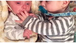 Ce Bebe Ne Sans Cerveau Aurait Ete Abandonne Par Sa Mere Sans L Arrivee De Ce Couple