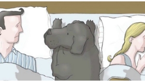 Image illustrant l'article Vous pensez vraiment savoir ce qu’est la dépression ? Les choses seront plus claires pour vous après avoir vu ce chien noir !