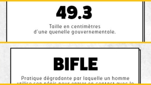 Illustration : "10 mots de la langue française qui font leur entrée dans le dictionnaire... Non sans un certain humour ! "