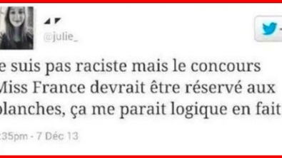 Illustration : 9 tweets qui montrent parfaitement le niveau intellectuel d'un raciste... Quelle honte en 2016 !