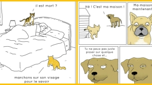 Illustration : "Et si les animaux se mettaient à parler..."