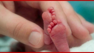 Image illustrant l'article Ce petit bout ne pèse que 450g, mais sa maman trouve ça dans son berceau juste après sa naissance...