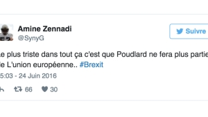 Illustration : "Le hashtag #Brexit fait des ravages sur Twitter ! Voici les 35 tweets à ne pas manquer..."