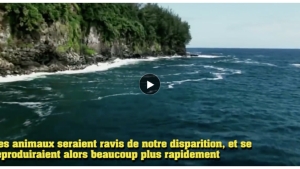 Image illustrant l'article Voici ce qu'il arriverait à la Terre si les humains disparaissaient… C’est aussi rassurant que flippant !