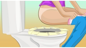 Illustration : "Ne mettez plus JAMAIS de PQ sur vos toilettes, c'est loin d'être hygiénique..."