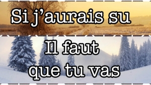 Illustration : "STOP ! On entend beaucoup trop ces 20 fautes de français et il faut que ça cesse !"