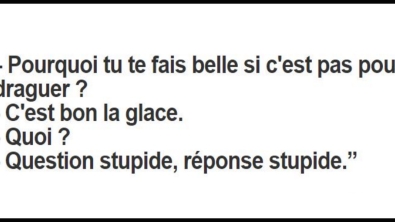 Illustration : "Toutes les filles devraient connaître ces 20 répliques à sortir à tous les blaireaux qui les harcèlent..."