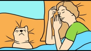 Illustration : "7 avantages qui prouvent bien que vous devriez toujours dormir avec votre chien !"