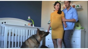 Image illustrant l'article Depuis l'annonce de sa grossesse, son mari la prend en photo tous les jours pour lui offrir une vidéo magnifique ! Un cadeau qui n'a pas de prix...