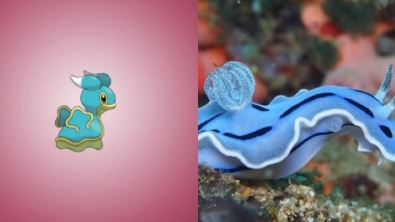 Illustration : "Saviez-vous que ces 15 Pokemon existaient vraiment dans la réalité ?"
