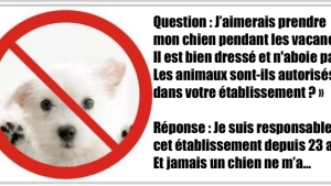 Illustration : "Réponse inattendue de la part de l'hôtel qu'il a contacté concernant la possibilité de venir avec son chien !"