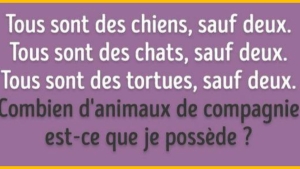 Illustration : "Pouvez-vous résoudre ces 8 casse-tête sans vous arracher la moitié des cheveux ? "