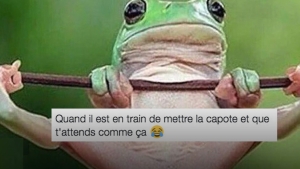 Illustration : "Les 14 tweets les plus marrant concernant le sexe..."