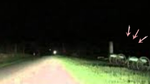 Image illustrant l'article Des amis filment une apparition à glacer le sang en pleine nuit. Montage ou réalité selon vous ?
